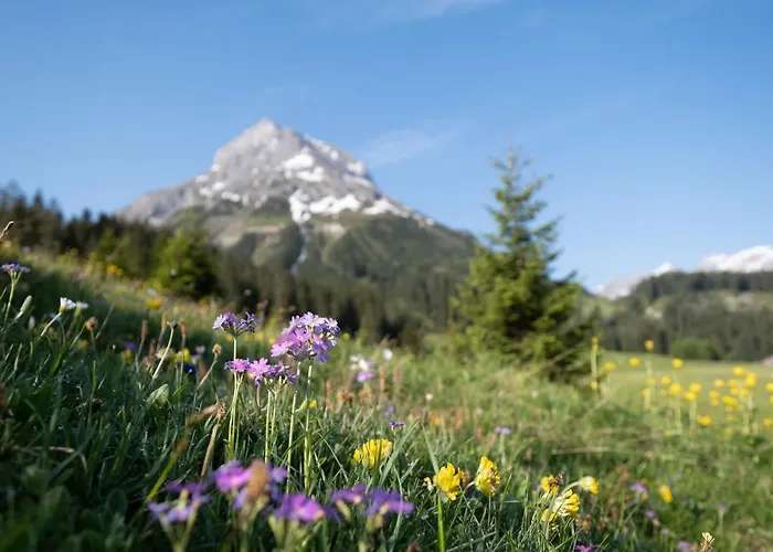 Hotel & Bellevue Lech am Arlberg